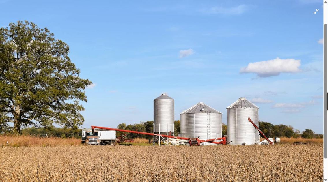 Steel grain bins standing in a golden harvest field, ready for pre-harvest rust inspection