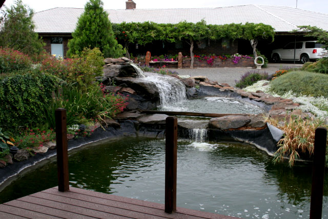 Finished koi pond and waterfall holding water over a polyurea aquatic coating liner